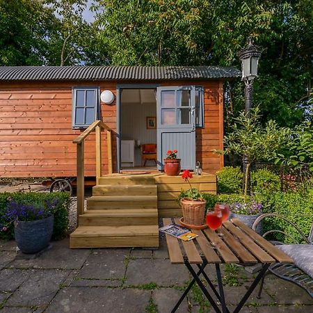 Hotel Hawthorn Hut Kilkenny Glamping At Jenkinstown House Jenkinstown Park Exterior foto