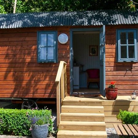 Hotel Hawthorn Hut Kilkenny Glamping At Jenkinstown House Jenkinstown Park Exterior foto