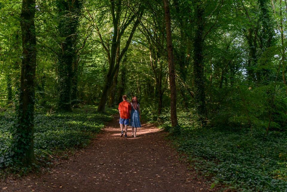 Hotel Hawthorn Hut Kilkenny Glamping At Jenkinstown House Jenkinstown Park Exterior foto